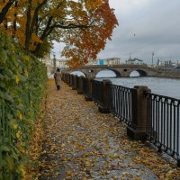 * :: Светлана Воробьева