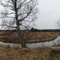 Htrf Vjkjrxf :: Денис Бочкарёв