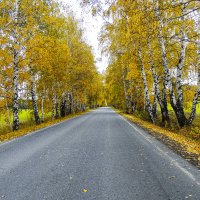 осень на Южном Урале :: petyxov петухов