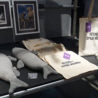 !!! :: zavitok * !!! :: zavitok *