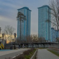 Одинокая сосна. :: Николай Одинокая сосна. :: Николай