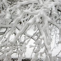 Снежной зимой :: Елена Семигина