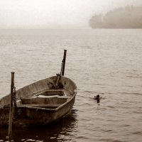 Уточка :: skijumper Иванов Уточка :: skijumper Иванов