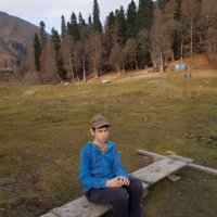 АБХАЗИЯ 2025 НОЯБРЬ :: Tata Wolf