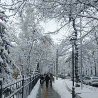Almaty. :: Murat Bukaev 