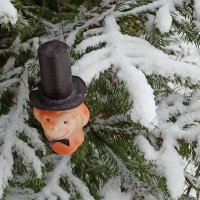 Первая примерка! :: veilins veilins