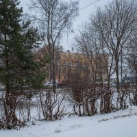 Выпал снег :: Александр Синдерёв