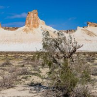 Казахстан :: Андрей Щукин