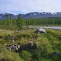 *** :: Александр Хаецкий