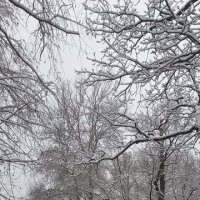 Гатчина :: Зина