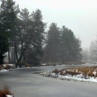 Карелия.Декабрь.Временная оттепель :: Мария Карелия.Декабрь.Временная оттепель :: Мария