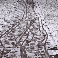 Следы... :: Валентина Нефёдова Следы... :: Валентина Нефёдова