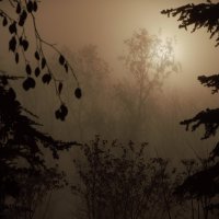 Вот свет, на него ндо идти! :: Юрий Полторыхин. Вот свет, на него ндо идти! :: Юрий Полторыхин.