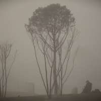 Что то заплутал в тумане, О человек? :: Юрий Полторыхин. Что то заплутал в тумане, О человек? :: Юрий Полторыхин.