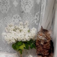 Наслаждение! :: Нина Андронова Наслаждение! :: Нина Андронова