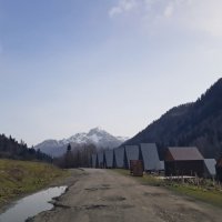 Абхазия ноябрь 2025 :: Tata Wolf