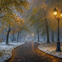 Первый снег :: Aleksey Afonin Первый снег :: Aleksey Afonin