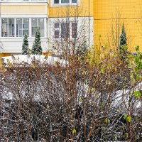 У дома моего :: Валерий Иванович У дома моего :: Валерий Иванович