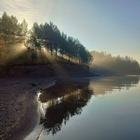 Утро... :: Ирина *