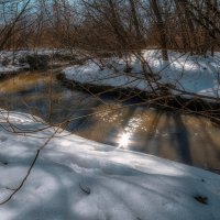 Весна всё равно будет. :: Владимир Владимир