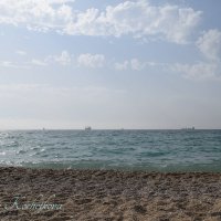 Природа Крыма :: Amazing Cosmea