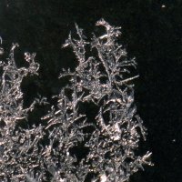 Узоры на стекле. :: nadyasilyuk Вознюк Узоры на стекле. :: nadyasilyuk Вознюк