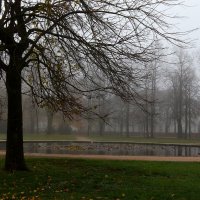 Утро нового дня :: Юрий. Шмаков