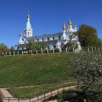 б/н :: Николай б/н :: Николай