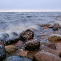 Валуны финского залива :: Георгий А Валуны финского залива :: Георгий А
