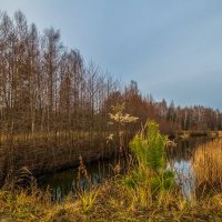 Во такая зима в Подмосковье 7 :: Андрей Дворников