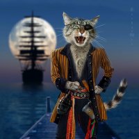 Пират :: Наталия Львова Пират :: Наталия Львова