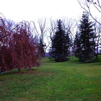 Пейзаж :: Юрий Полторыхин. Пейзаж :: Юрий Полторыхин.