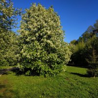 Фотография здорово помогает мыслям о хорошем :: Андрей Лукьянов Фотография здорово помогает мыслям о хорошем :: Андрей Лукьянов