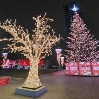 Новогодняя Москва :: Ольга Довженко