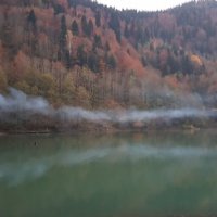 РИЦА. АБХАЗИЯ :: Tata Wolf РИЦА. АБХАЗИЯ :: Tata Wolf