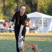 ... :: Светлана Ищенко