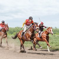 Скачки :: SanSan 