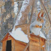 В ожидании.. :: Галина Нестратова В ожидании.. :: Галина Нестратова