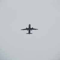 зов дальних странствий :: Елена Шаламова