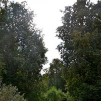 ПЕТРОВСКОЕ, вотчина Ганнибалов. :: Виктор Осипчук ПЕТРОВСКОЕ, вотчина Ганнибалов. :: Виктор Осипчук