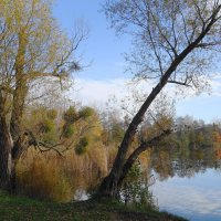 Ноябрьский пейзаж :: Рита Симонова Ноябрьский пейзаж :: Рита Симонова