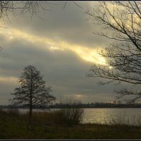 Холодное солнце декабря... :: Aleksandr Gal Холодное солнце декабря... :: Aleksandr Gal