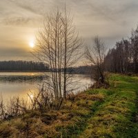 Во такая зима в Подмосковье 8 :: Андрей Дворников