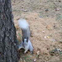 Привет! Я здесь!) :: Дмитрий П Привет! Я здесь!) :: Дмитрий П