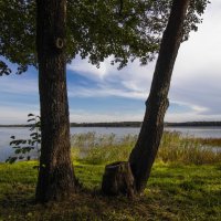 Б/Н :: Николай Б/Н :: Николай