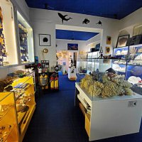 Палеонтологический музей Валентина Вербицкого :: Виктор Мухин