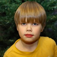 Мишка :: краснов юрий