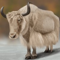 Белый тибетский як :: Наталия Львова Белый тибетский як :: Наталия Львова