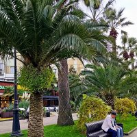 Прогулка по городу :: Tata Wolf Прогулка по городу :: Tata Wolf