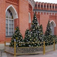 Декабрь в Царицыно :: Ольга 